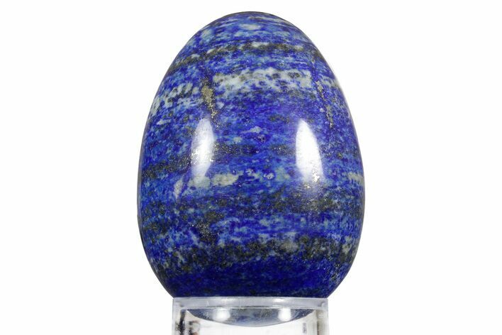 Polished Lapis Lazuli Egg - Pakistan #352514